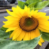 議事堂 (@adgjmp156246) 's Twitter Profile Photo