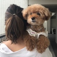 シア (@satomi8066) 's Twitter Profile Photo シア (@satomi8066) 's Twitter Profile Photo