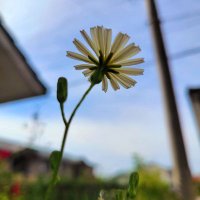 mako1975 2nd (@2nd_mako1975) 's Twitter Profile