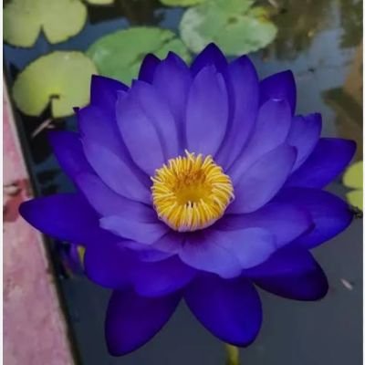 ą¦ą§ą¦¬ą¦Øą§ ą¦ą¦¾ą¦²ą§ ą¦„ą¦¾ą¦ą¦¤ą§ ą¦ą¦¾ą¦ą¦²ą§,, ą¦®ą¦¾ą¦Øą§ą¦·ą§ą¦° ą¦Ŗą§ą¦°ą¦„ম ą¦¦ą¦æą¦ą§ą¦° ą¦ą¦„ą¦¾ą¦ą§ą¦²ą§ą¦ą§ ą¦ą¦”ą¦¼ą¦æą¦Æą¦¼ą§ ą¦¦ą¦æą¦¤ą§ ą¦¶ą§ą¦ą§ą„¤ą¦¦ą¦æą¦Øą§ ą¦¦ą¦æą¦Øą§ ą¦¶ą§ą¦· ą¦Ŗą¦°ą§ą¦Æą¦Øą§ą¦¤ তার ą¦ą¦„া ą¦ ą¦ą¦¾ą¦ą§ą¦° মিল ą¦ą§ą¦ą¦ą§ ą¦¦ą§ą¦ą§ą„¤