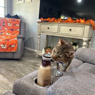 newgendmnny's profile picture. 