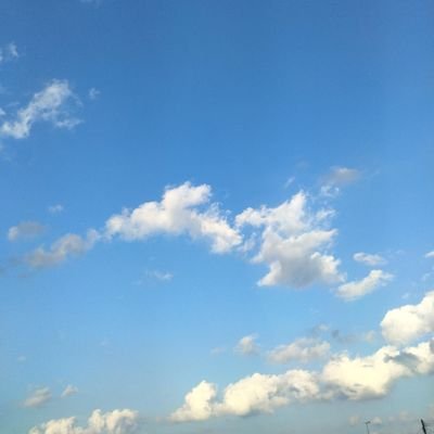 na_rika_08's profile picture. 基本ちなはむ、ちなヤクです✌️
/無言フォロー失礼します🙇
/閲覧垢です
/ヤクルトと日ハムが勝つことでしか得られない栄養素がある
/基本的にメッセージ、返信はしません
/#ちなヤク#Lovefighters