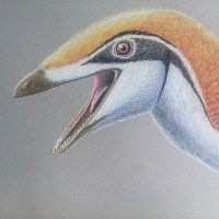 Hugo Paleoart (@microraptore) 's Twitter Profile Photo Hugo Paleoart (@microraptore) 's Twitter Profile Photo