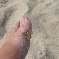 Mandy Vere (@nfnmandy) 's Twitter Profile Photo