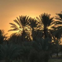 سبحان الله (@m20asdfg) Twitter profile photo
