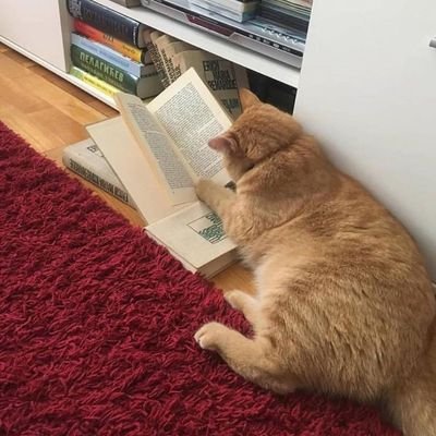 Mr_Yusuff011's profile picture. Be your own hero 🤙🤗