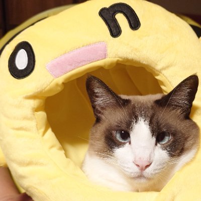 自称Salesforceの使い手。機動力が自慢。特技は猫の育成。草むしり検定5級。キャンプと道の駅と動物とゲームと飲酒が好き。