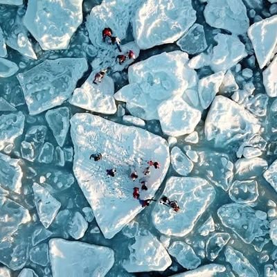 multitaskcook's profile picture. 