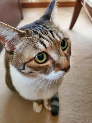 CVap5LNa4w96196's profile picture. 