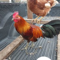 Shotty Turner (@shottyturner13) 's Twitter Profile Photo