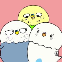 ことりのむぎちゃん (@ru7eniwjhj0pdaz) Twitter profile photo