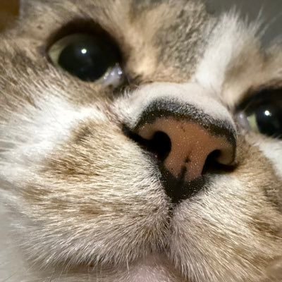 みんみんさんのプロフィール画像