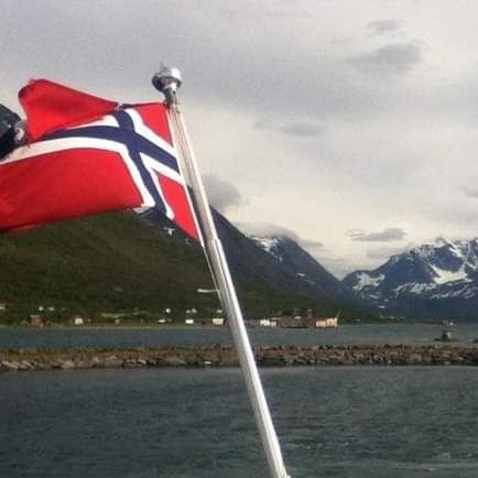 Honir14's profile picture. 