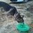 adorado10's profile image