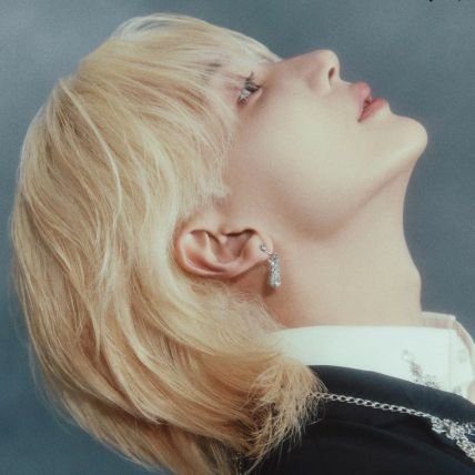 HAOHAN ENTHUSIAST | ot13 | reading and fan account 🎐🩵 | 🐸 😇 | #SEVENTEEN