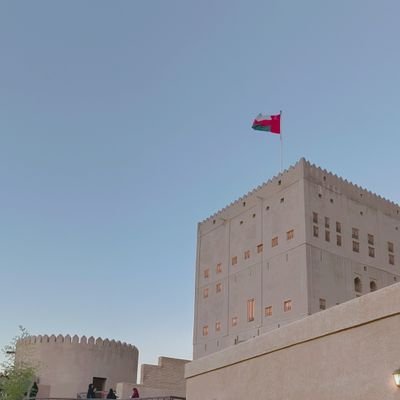 ali23057812531's profile picture. 