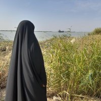 robab taran (@taranrobab) 's Twitter Profile