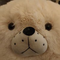 搞怪熊电台 (@russo_kimb1142) 's Twitter Profile Photo