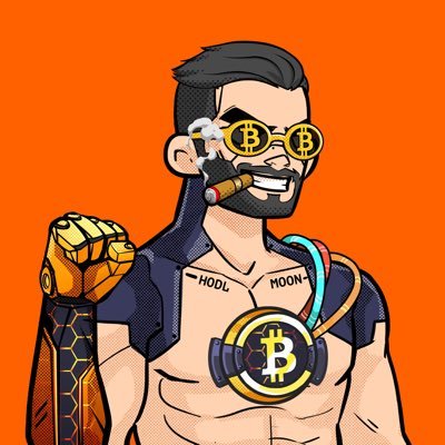 algofamdotmoon's profile picture. Algorand maxi