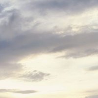 Rising Sun (@sonalmehta_9) 's Twitter Profile Photo