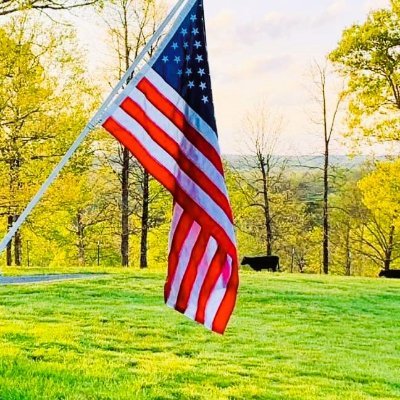 DanBlan39652673's profile picture. 