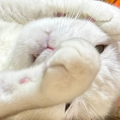 mozukuprpr's profile picture. 