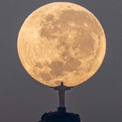 Peternovich7's profile picture. Man City||Ronaldo||Seyi Vibez||