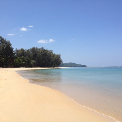 kikikinocooo's profile picture. 