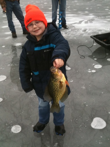 jimgebs's profile picture. 