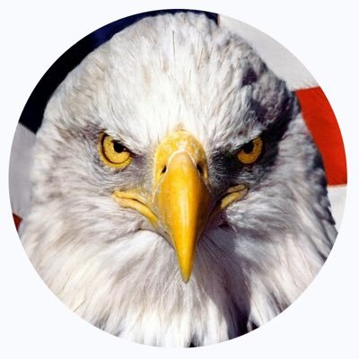 CMark1333's profile picture. 