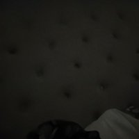 Tan tu (@tingletandrea) 's Twitter Profile Photo