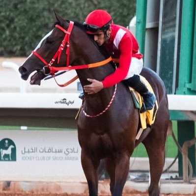 خيال ومحب للخيل🏇🏻.