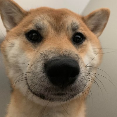 Aditya37_'s profile picture. Learner. Trader.