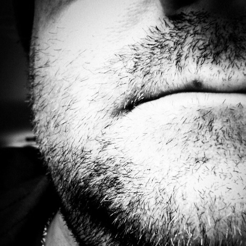 mogwai14's profile picture. No hay secretos en la vida, sólo verdades ocultas que yacen bajo la superficie