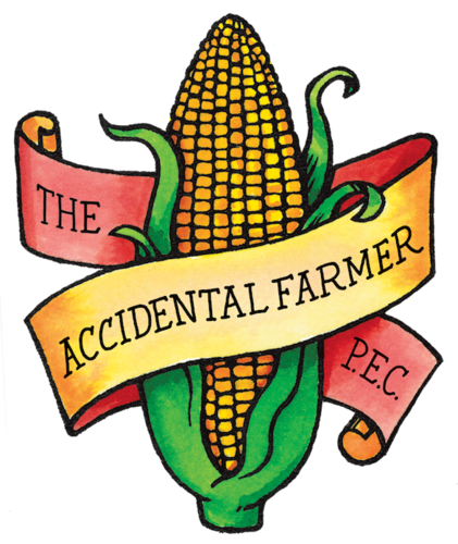 I am The Accidental Farmer. I Raise Berkshire pigs, heritage breed chickens,veggies and more.