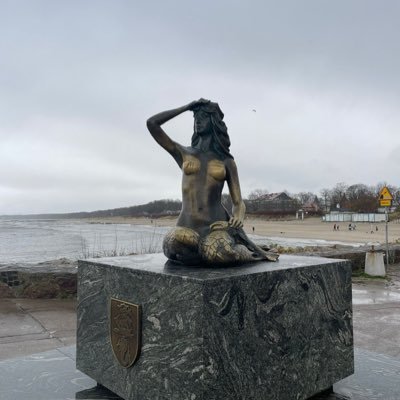 pawel_makosa's profile picture. #bear