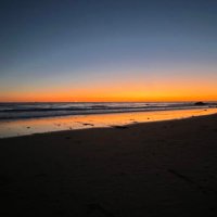 Isaac Nichelson (@isaacnichelson) 's Twitter Profile