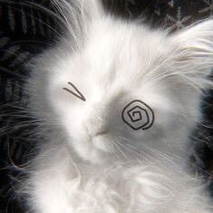 ChewySystem's profile picture. ⚠️SYSTEM + BODILY MINOR⚠️