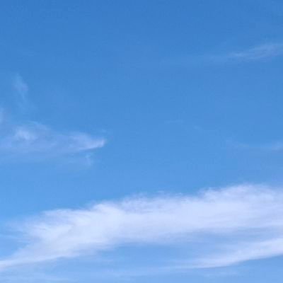 marioimfeld's profile picture. 