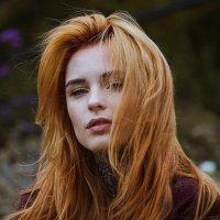 Polly Bradford (@bradfordpo79557) 's Twitter Profile