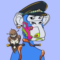Meme Trades (@memecptrades) 's Twitter Profile