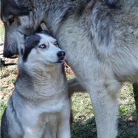 Atticus (@atticus4all4) 's Twitter Profile