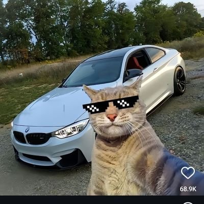 Rohan31826571's profile picture. 