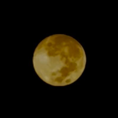 Janaill6's profile picture. 