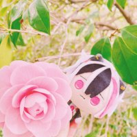 よもぎ餅子 (@motigomekome) 's Twitter Profile Photo よもぎ餅子 (@motigomekome) 's Twitter Profile Photo