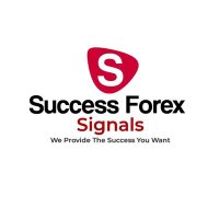 success VIP Forex signals ⚡ (@ispanda6466) 's Twitter Profile