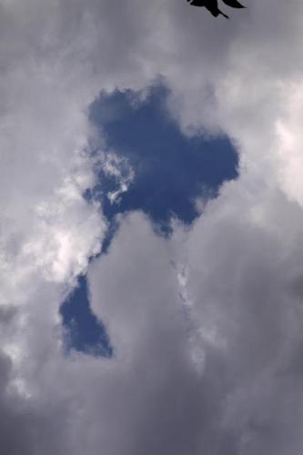 Krumoo101's profile picture. English Teacher