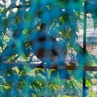 NqKQUgAhJ994144's profile picture. 