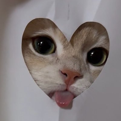 choccoccco's profile picture. 想写给你听 写我们心照不宣的怪癖.