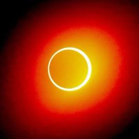 Dale Grinols (@dalegrinols3) 's Twitter Profile